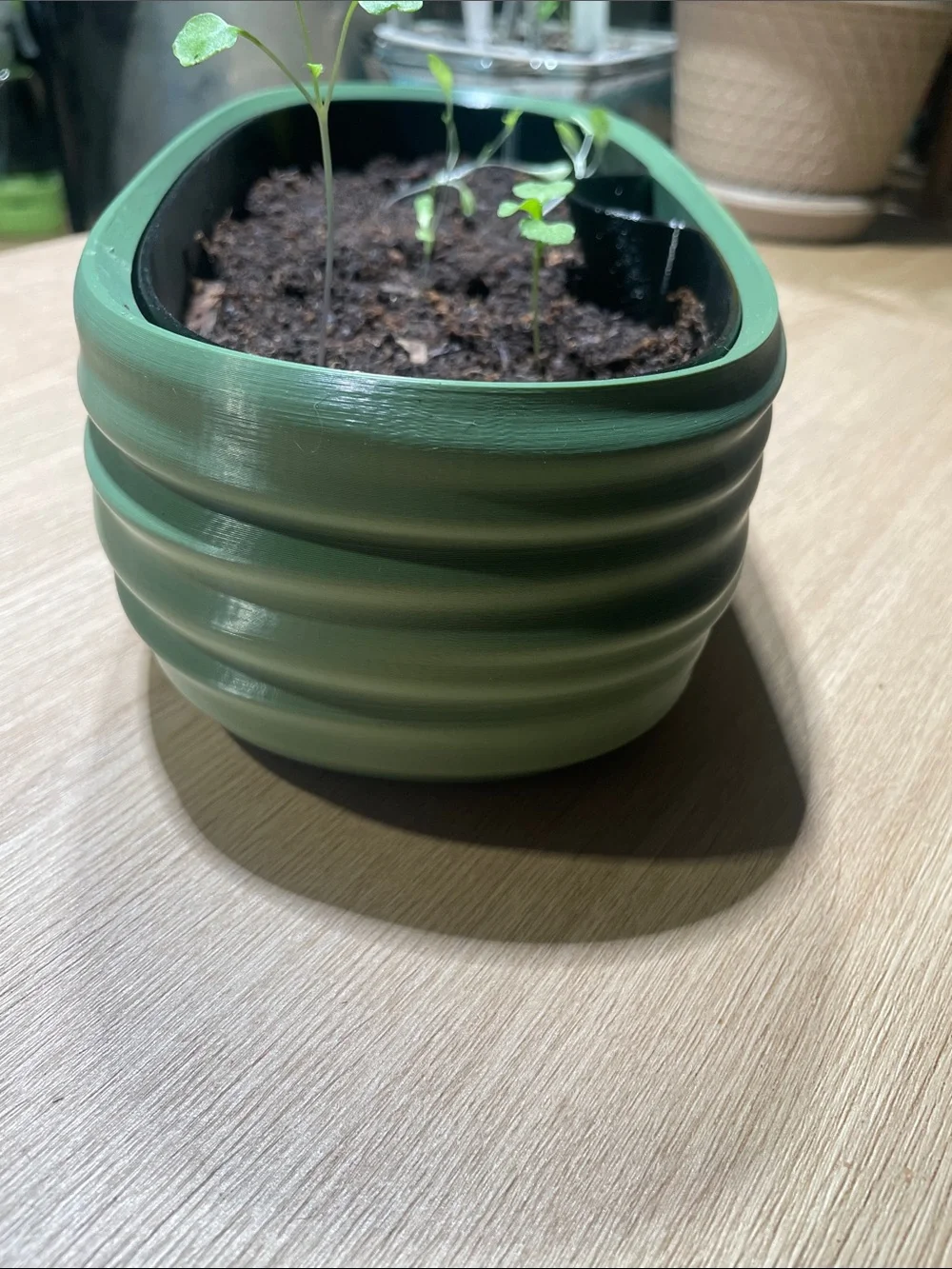 3D printed Green Self-Watering Indoor Planter - Modern Oval Herb Pot